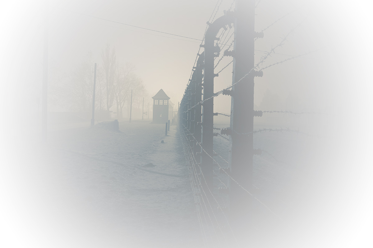 Auschwitz Virtual Tour education session